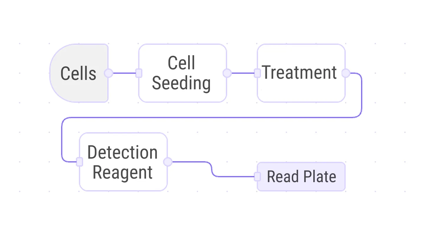 Structured assay workflow for cell viability experiment